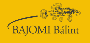 BAJOMI Bálint